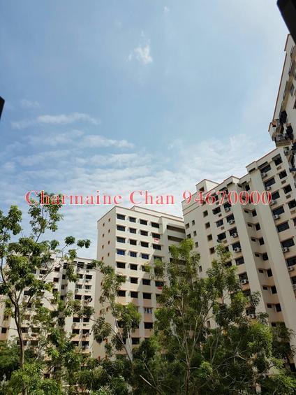 Hougang Street 51 thumbnail photo